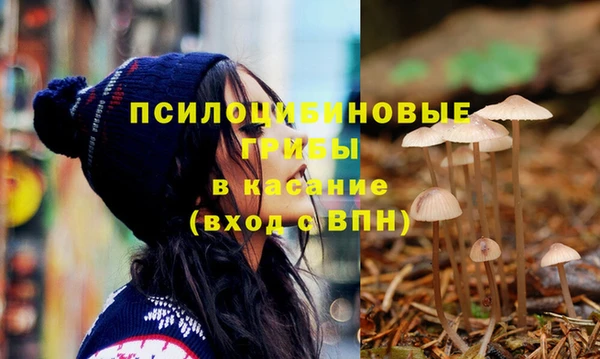 ешки Абдулино