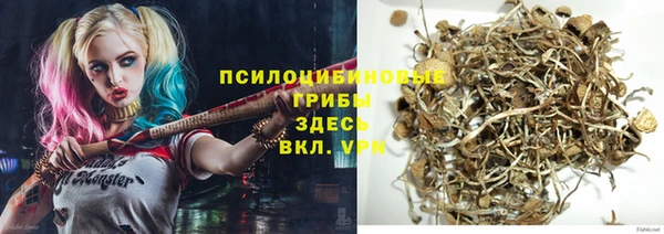 spice Абинск