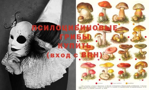 мяу мяу кристалл Абаза